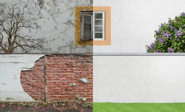 Best Post-Construction Mold Inspection  in Towaco, NJ